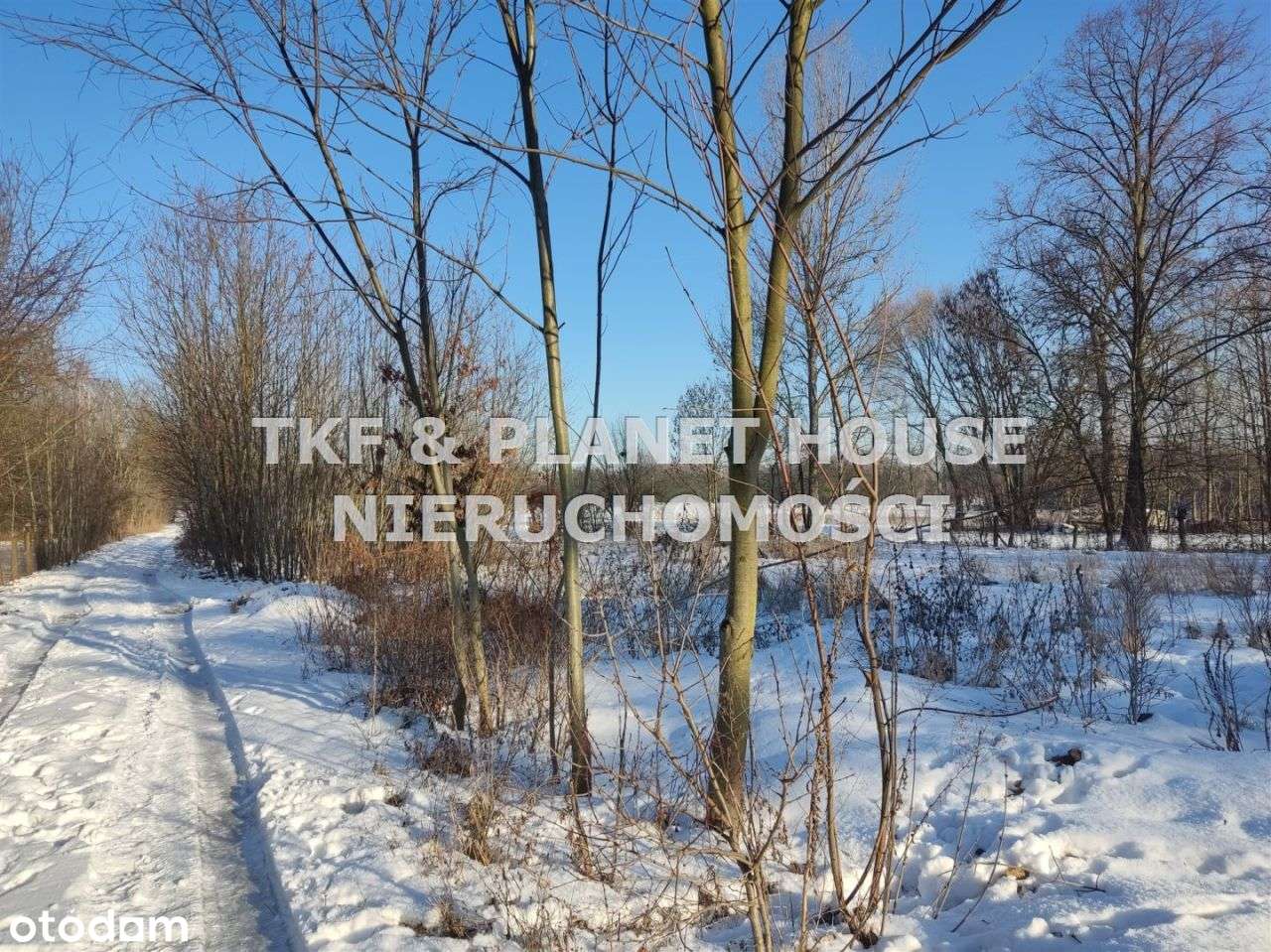 Działka Wz, 1000 m2, Wola Załęzna/Opoczno - Pełny obrazek: 4/7