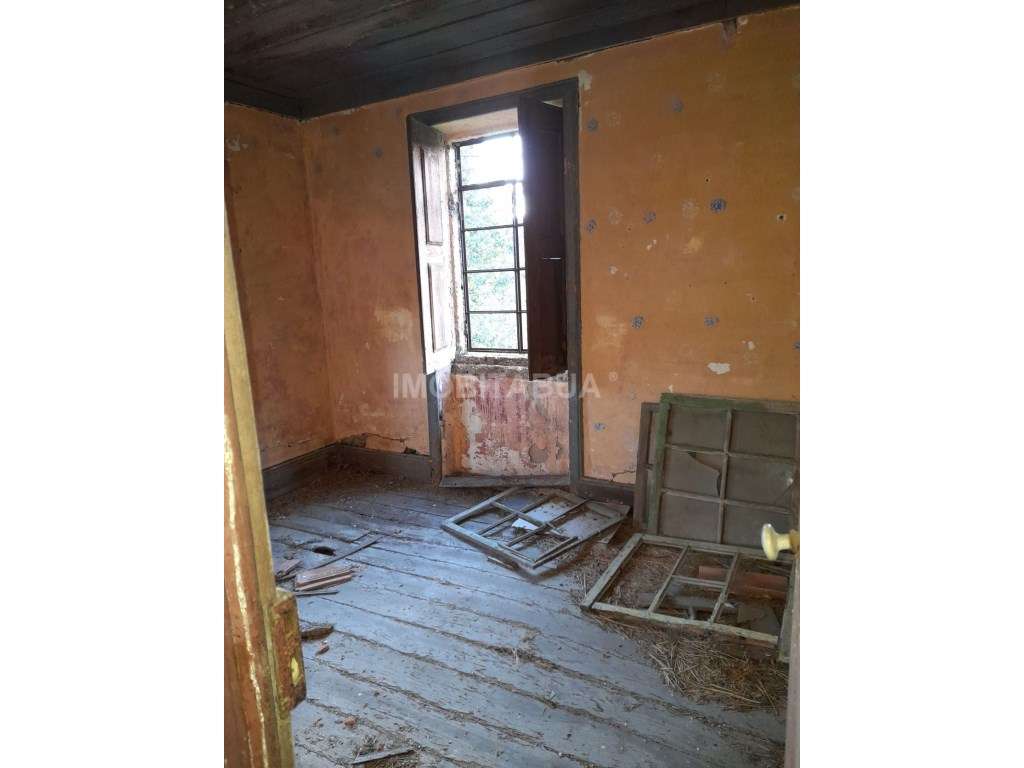 Quinta de Mirtilos com mais de 3 Hectares, localizada perto de Tondela-23