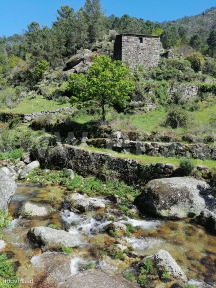 Quinta / Seia, Loriga - Grande imagem: 3/20