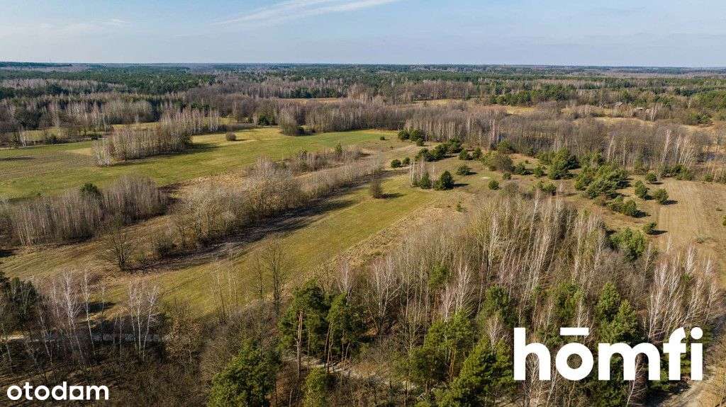 Bajkowa działka w Dolinie Radomki, Goryń - Pełny obrazek: 5/11
