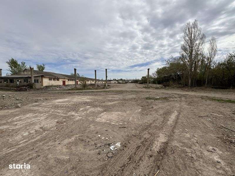 Vand teren 7530 mp pentru constructia de hale - Imagine principală: 4/4