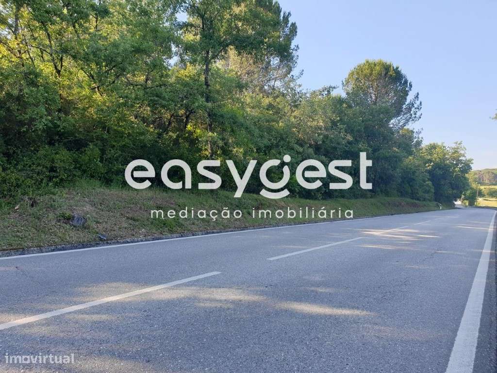 Terreno em Soure, às portas da cidade junto a área comercial - Grande imagem: 4/4