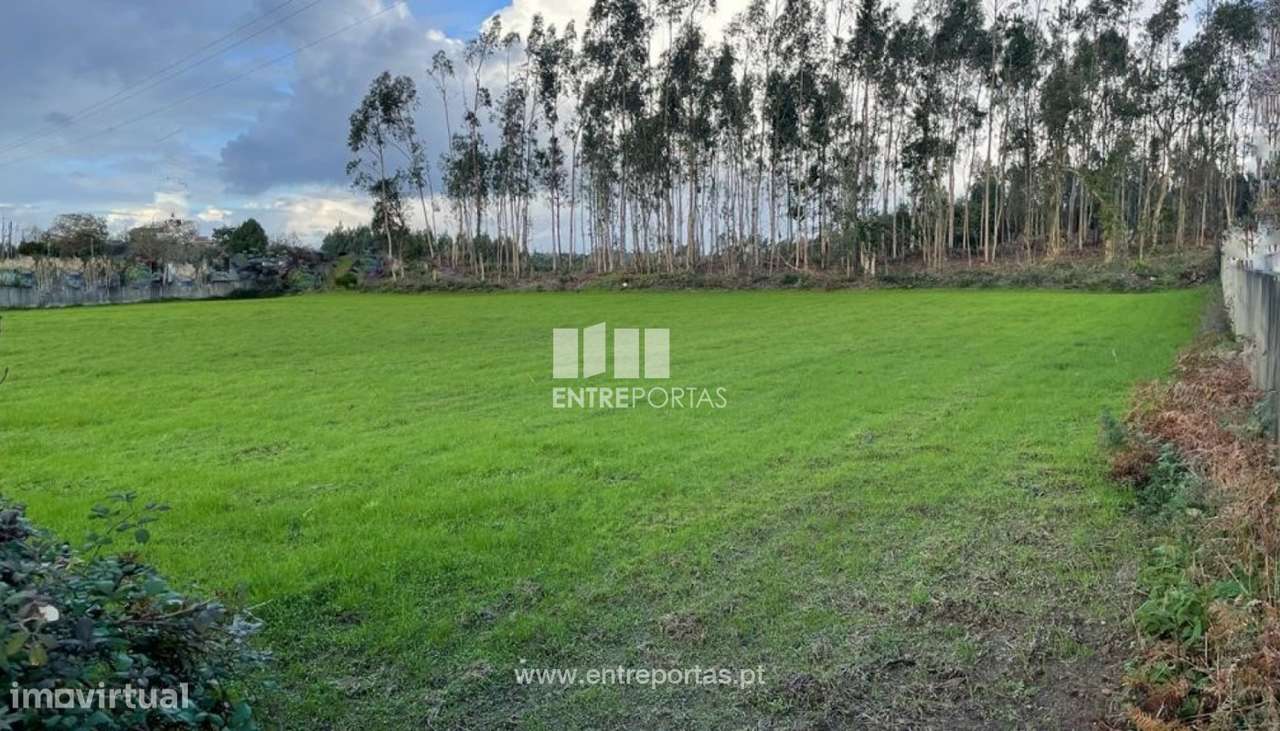 Terreno com 4550 m2, para venda, Tougues, Vila do Conde - Grande imagem: 2/12