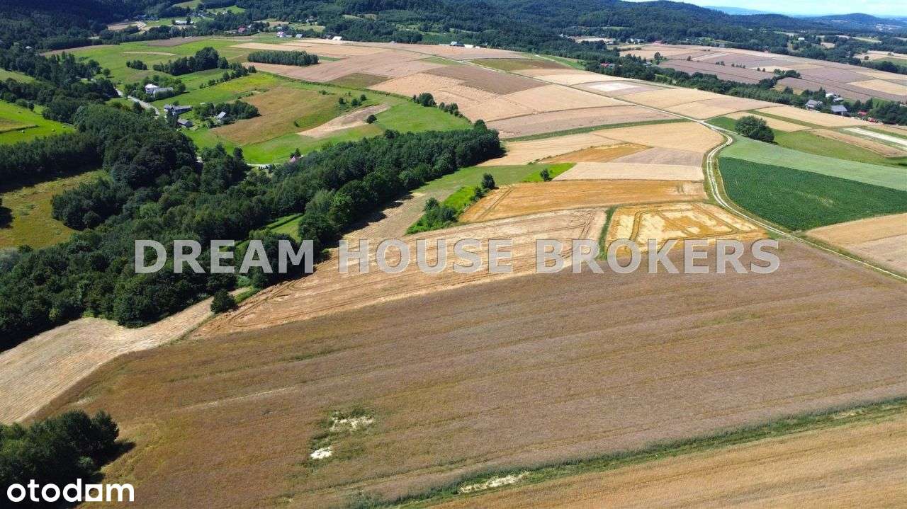 Działka rolna na sprzedaż Brzeziny gm.W Skrzyńskie - Pełny obrazek: 4/10