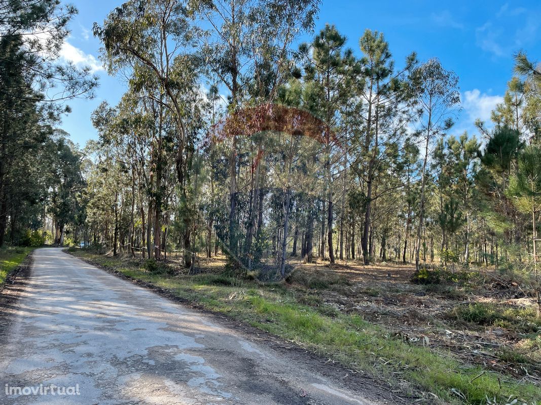 Terreno  para venda