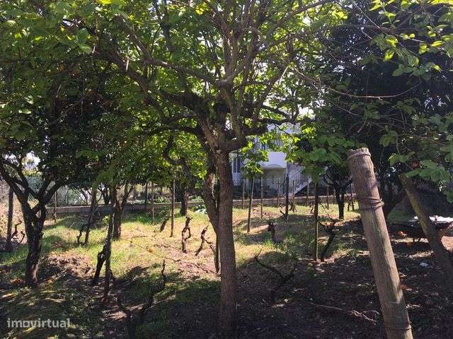 Casa com Terreno em Vilarinho de Cotas, Douro-36