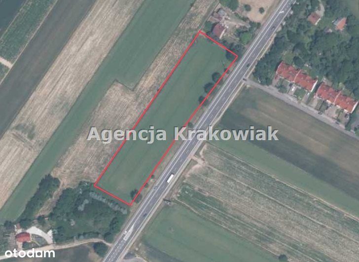 Działka, 8 500 m², Zerwana