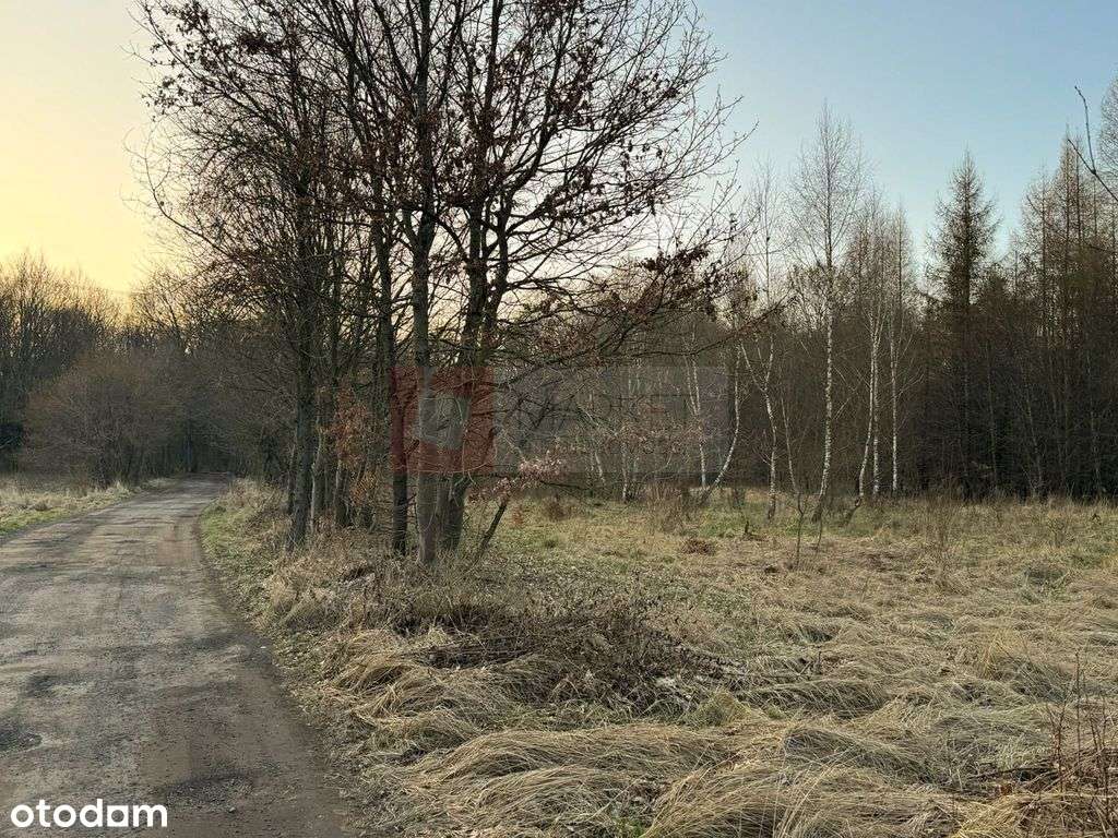 Błotny Młyn 903 m2 działka przy lesie na sprzedaż!-3