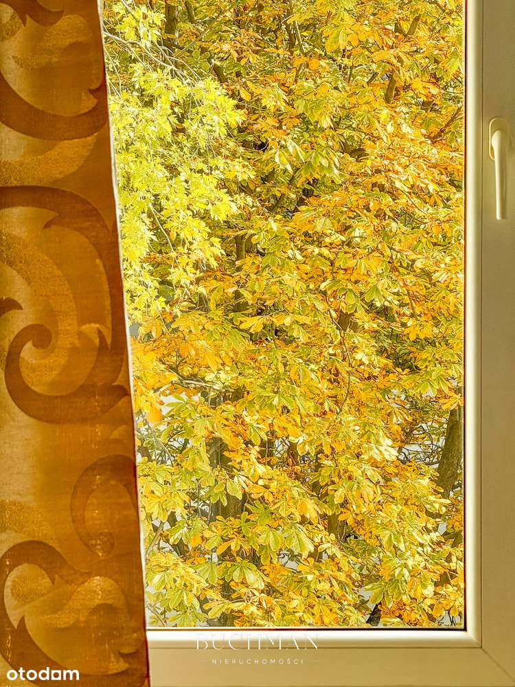 Kawalerka w centrum z widokiem - Dużo światła Bez Prowizji FILM-9