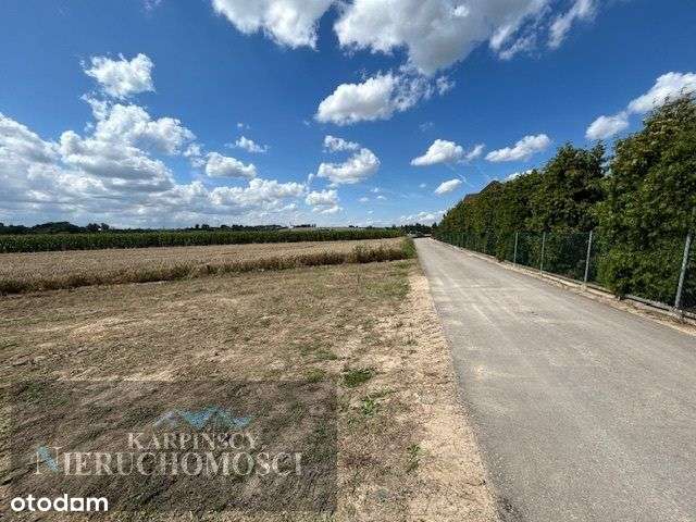 Słoneczna i duża działka budowlano-rekreacyjna. - Pełny obrazek: 3/8