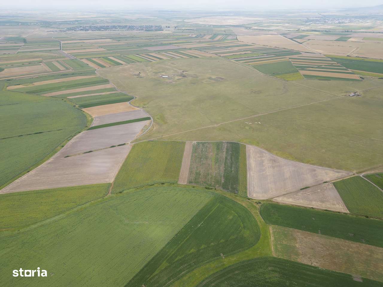 Teren arabil de 40 hectare în Zarand - Imagine principală: 2/4