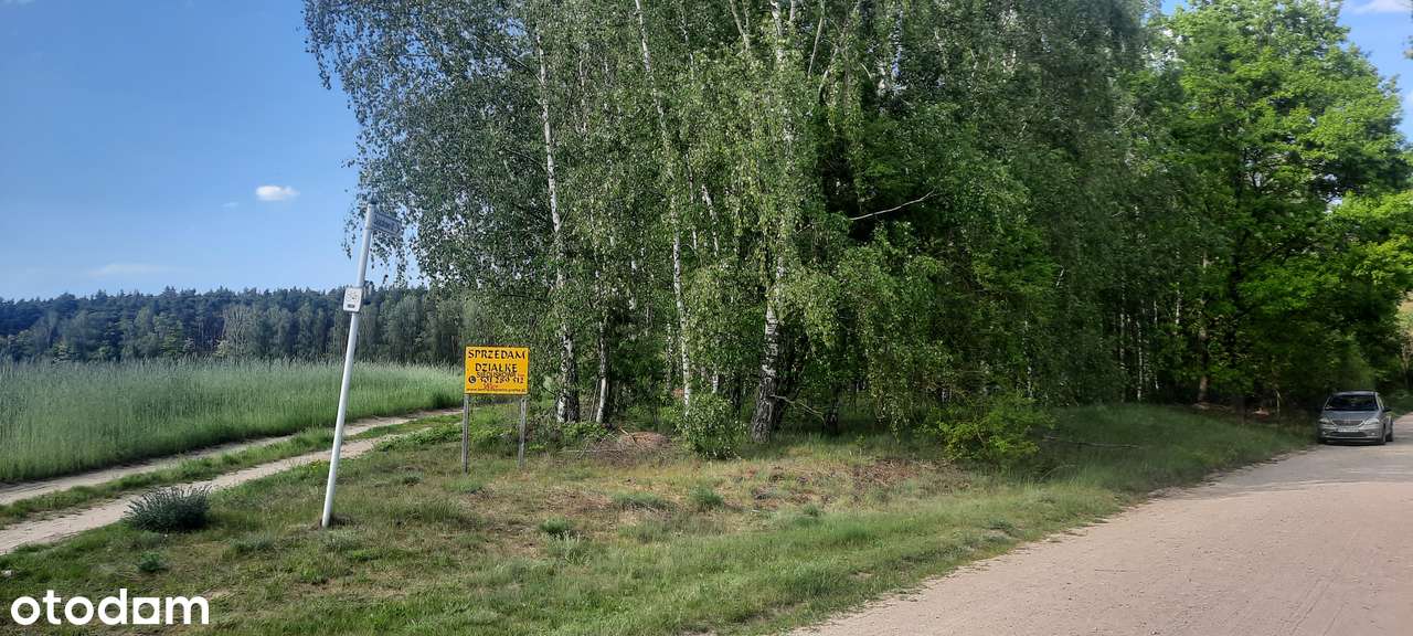 Działka SIEDLISKOWA 1MR  40km Poznań lasy jezioro blisko stadnina koni-10