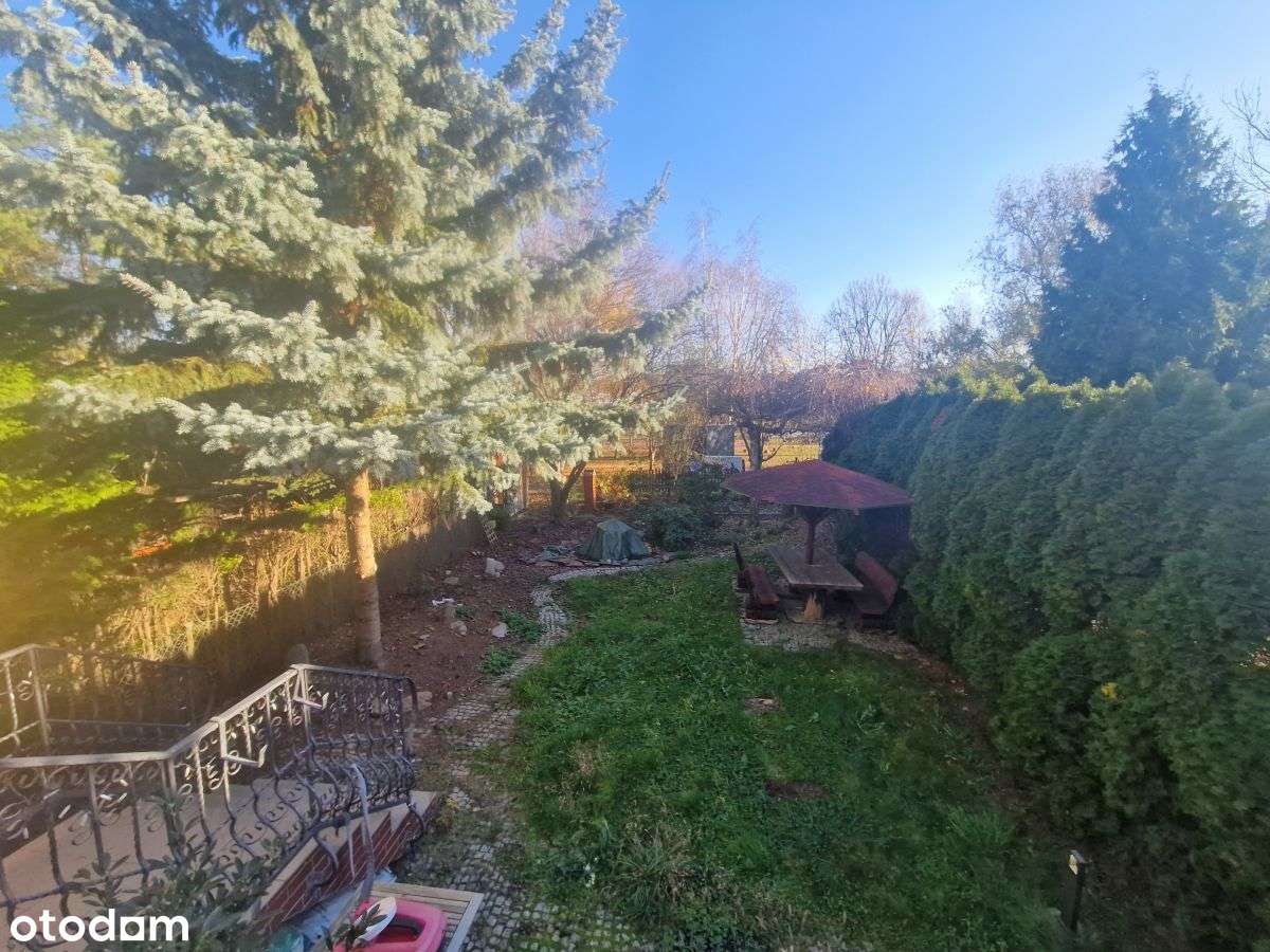 Szereg Skrajny W Sąsiedztwie Parku-14