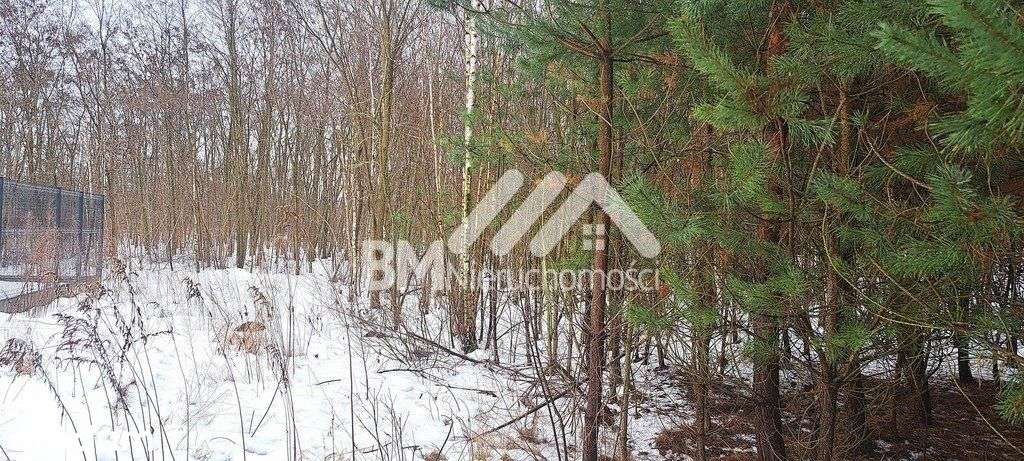 Działki w otoczeniu leśnym-1