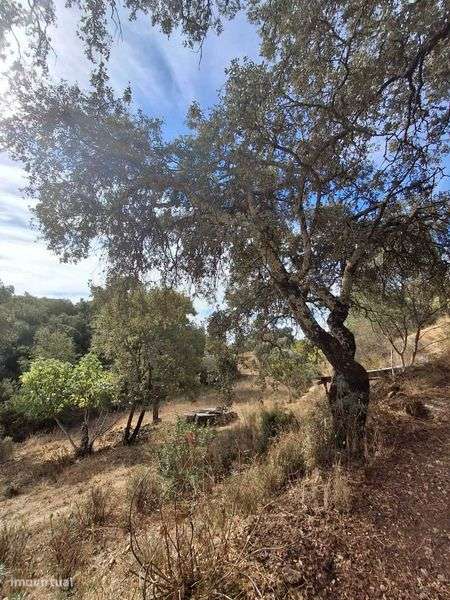 TERRENO COM Projeto de Construção Aprovado - Grande imagem: 5/12