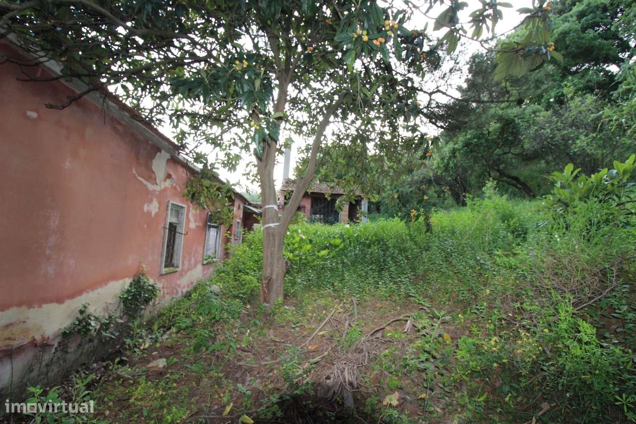 Moradia / Reconstruir / Leiria - Grande imagem: 5/17