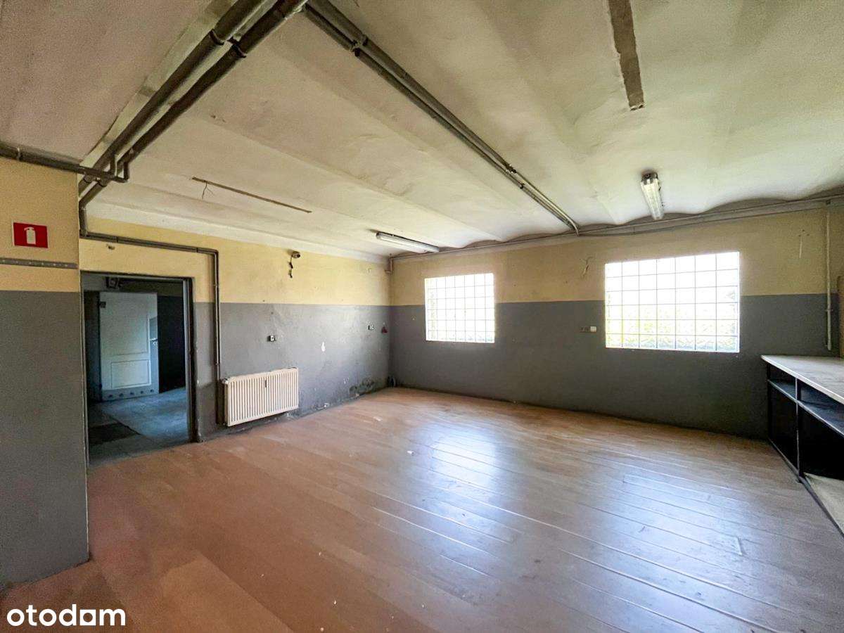 Lokal użytkowy, 260 m², Racibórz - Pełny obrazek: 5/12