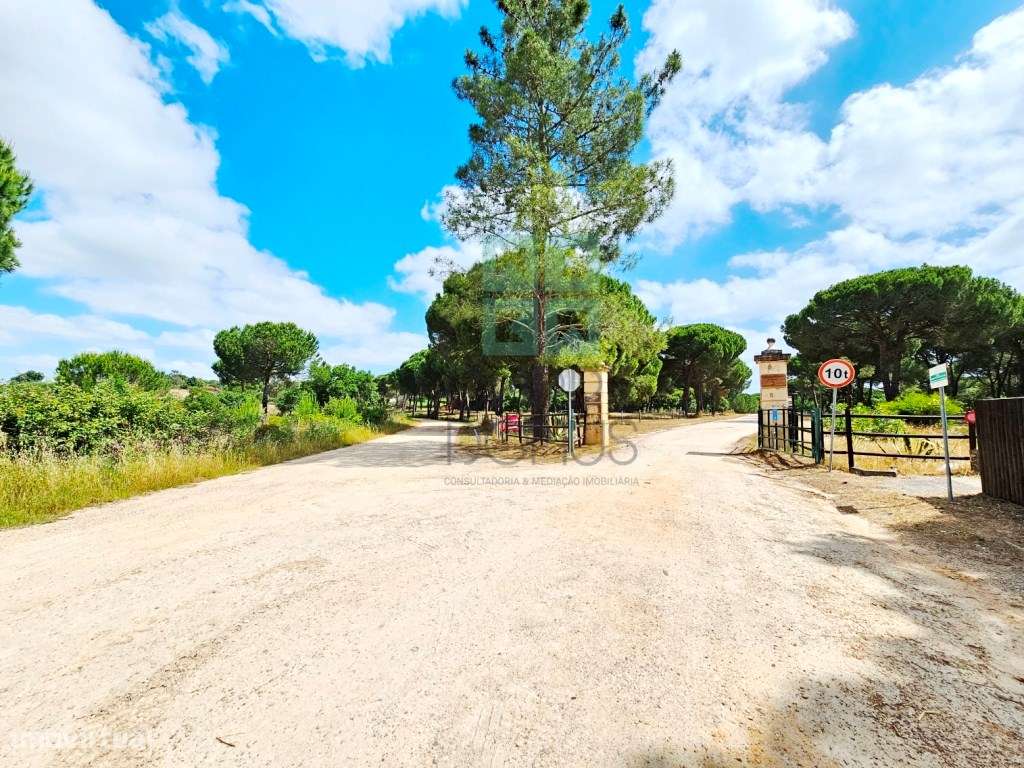 Lote de Terreno de 33.300m2, com lagoa, na Mata do Duque 1, Santo E...-6