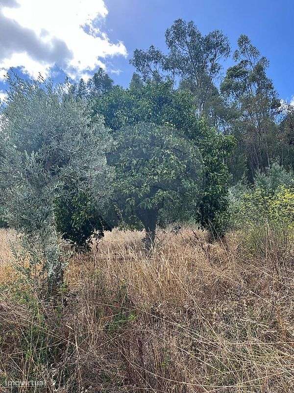 Terreno  para venda - Grande imagem: 3/5