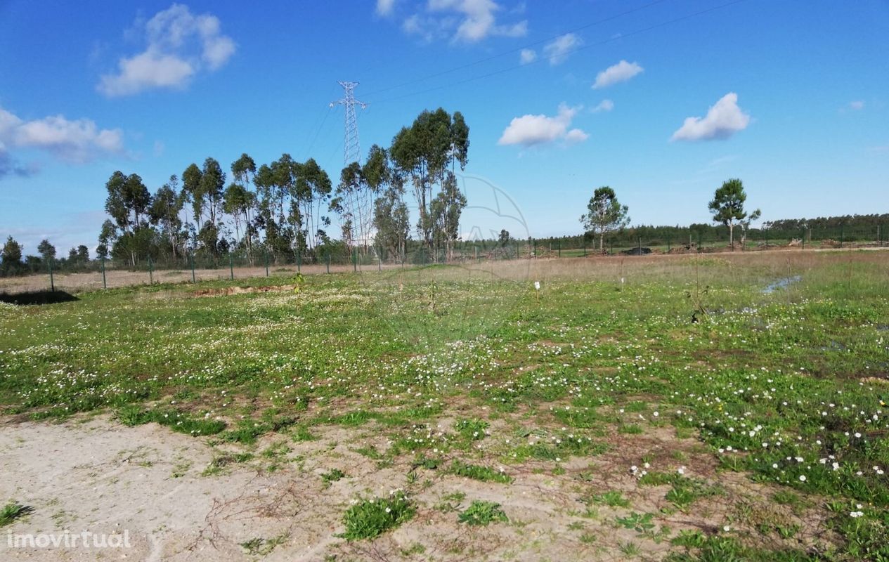 Terreno  para arrendamento