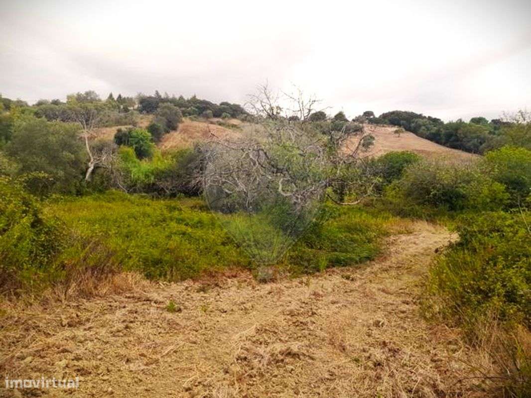 Terreno  para venda - Grande imagem: 3/4