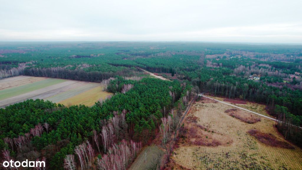 Życie w zgodzie z naturą - działka obok lasu!