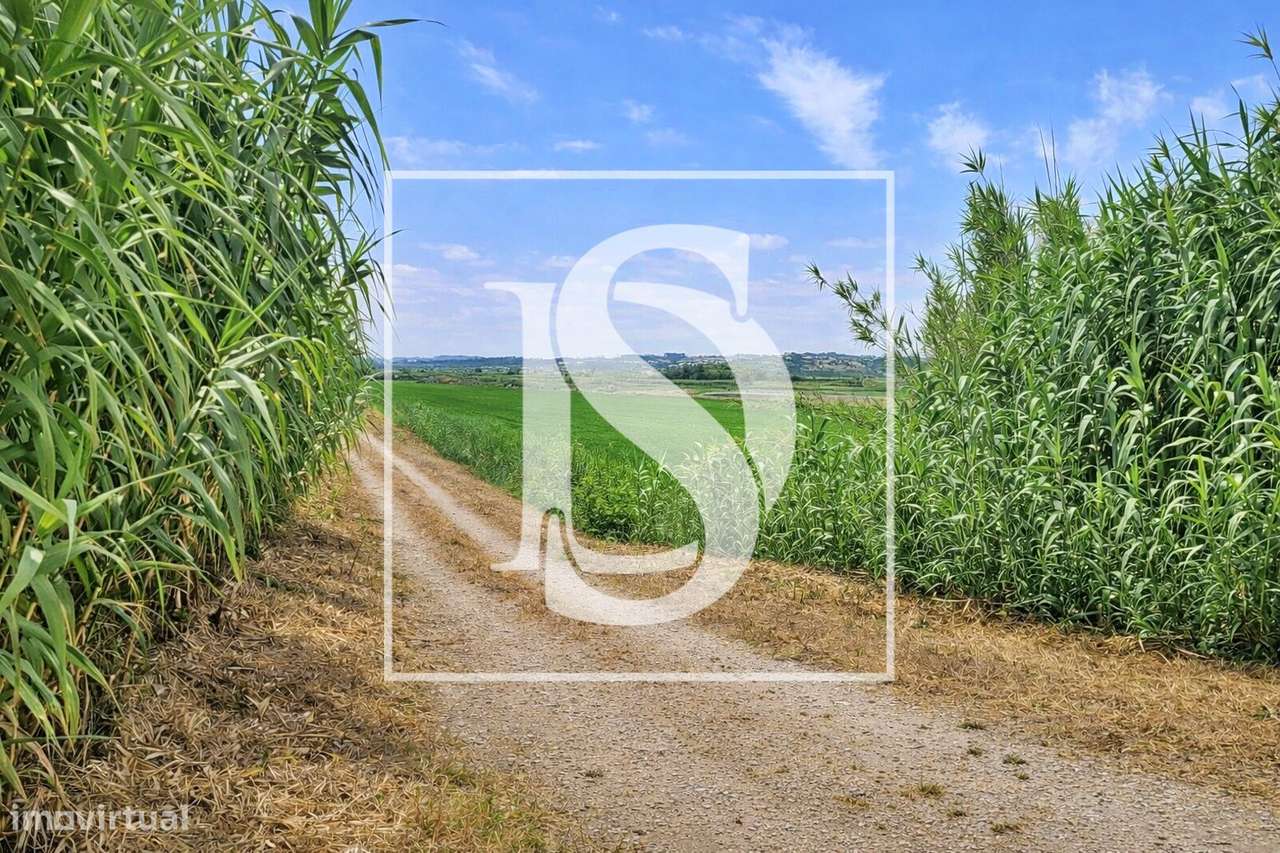 Moradia T3 Venda em Samuel,Soure-49