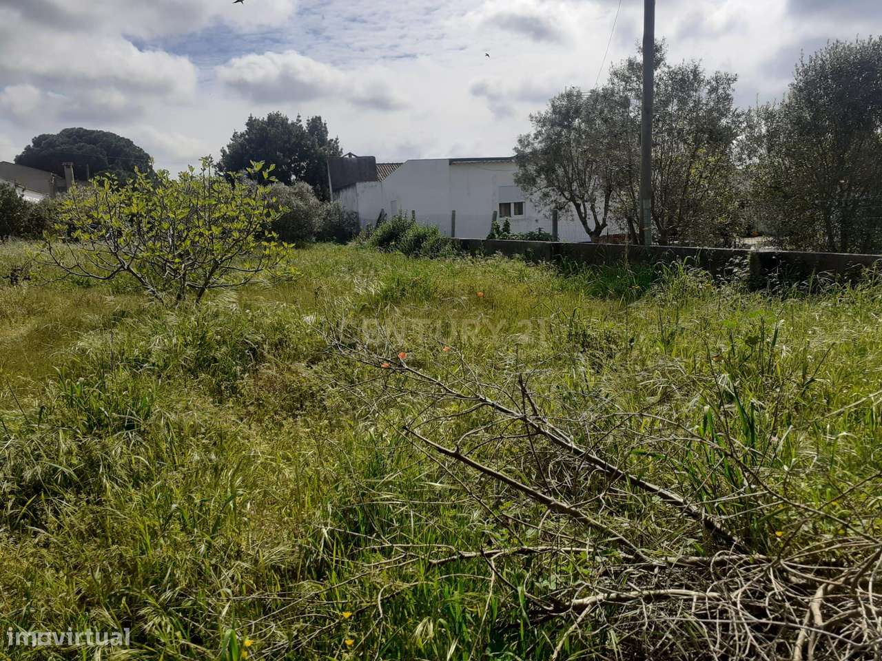 Terreno para Construção – Na Freguesia de Santo Isidro de Pegões | 629 - Grande imagem: 4/5