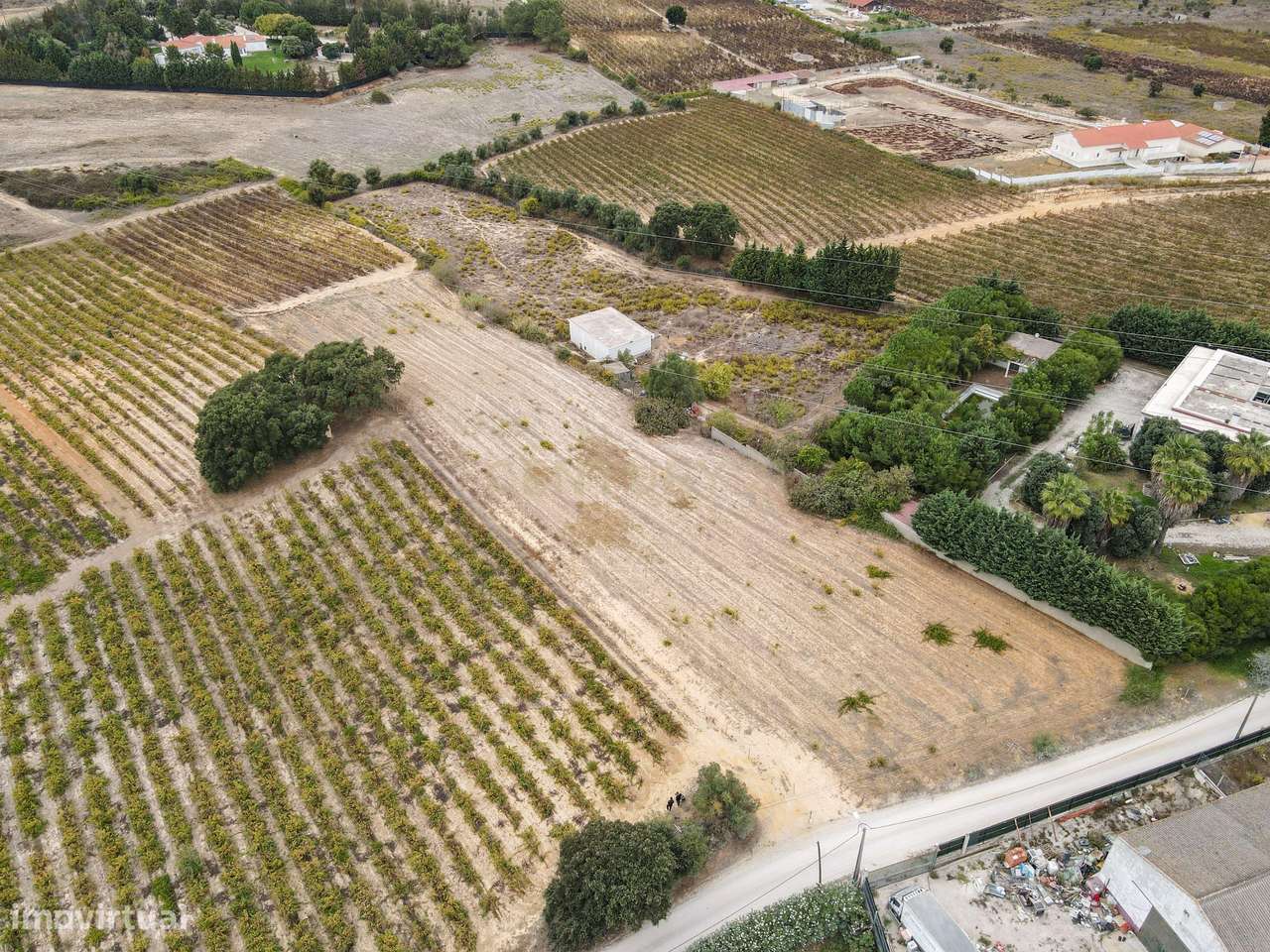 Lote Terreno em Palmela, 4780m2, viabilidade 120m2 - Grande imagem: 2/15