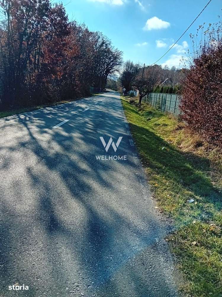 974 mp de vis, între pădure și cer - Teren intravilan, Cisnadioara, Si - Imagine principală: 2/18