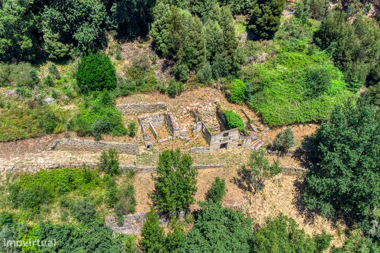 QUINTA NO VALE DO DOURO - 2 CASAS EM PEDRA, 11 HECTARES DE TERRENO-24