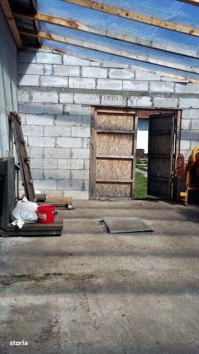 Spatiu industrial, Manoleasa, Botosani - Imagine principală: 5/10