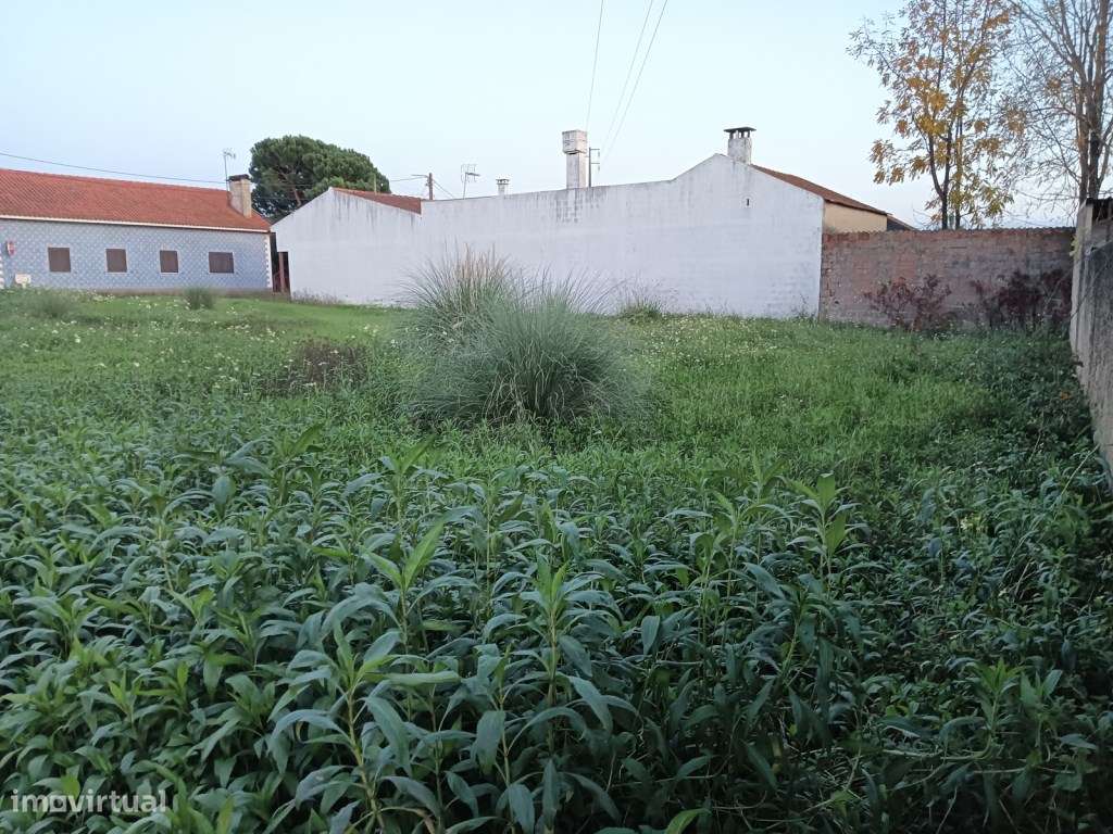 Terreno com 31m de frente para venda Bustos - Oliveira do Bairro - Grande imagem: 5/21