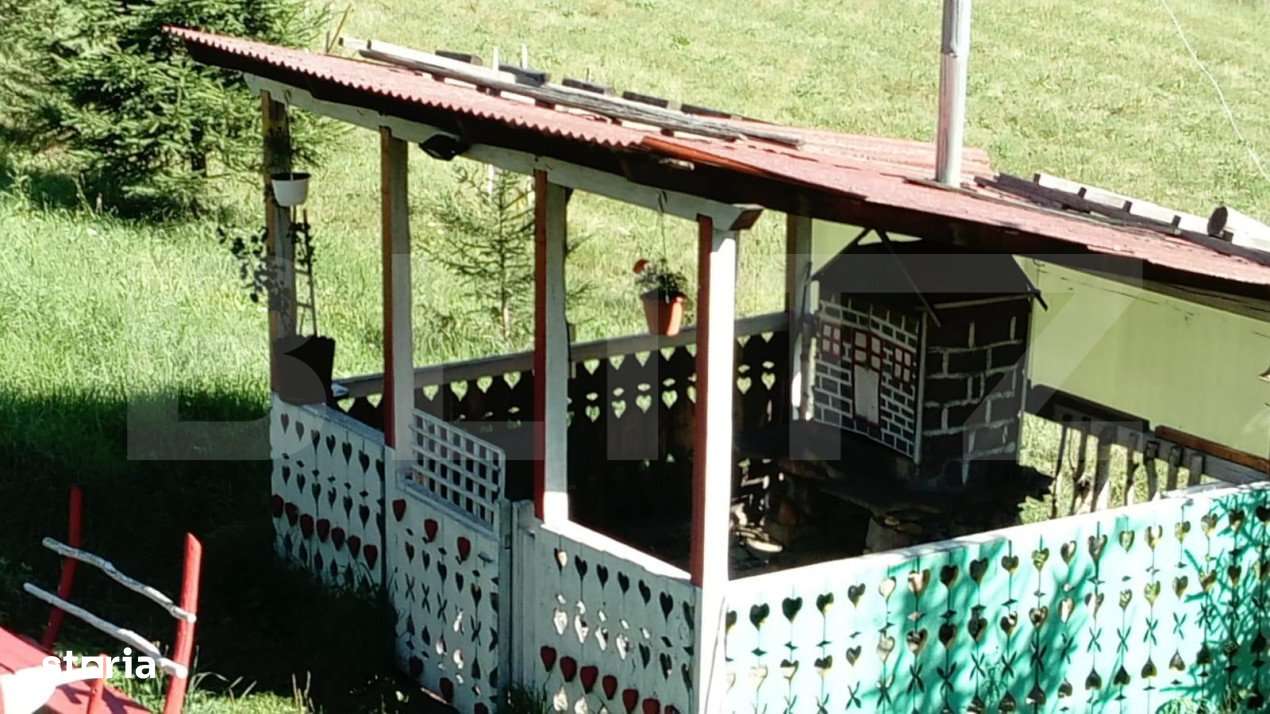 Ocazie unica! Cabana 180 mp utili, teren, Dorna Arini - Imagine principală: 5/13