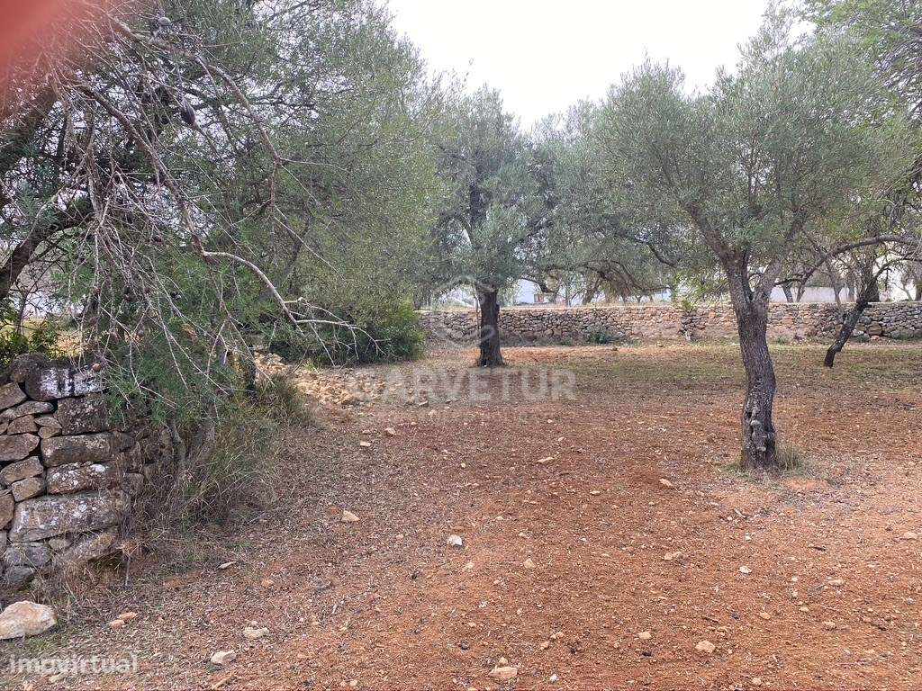 Lote de terreno rústico situado em zona muito tranquila, Boliqueime... - Grande imagem: 4/14