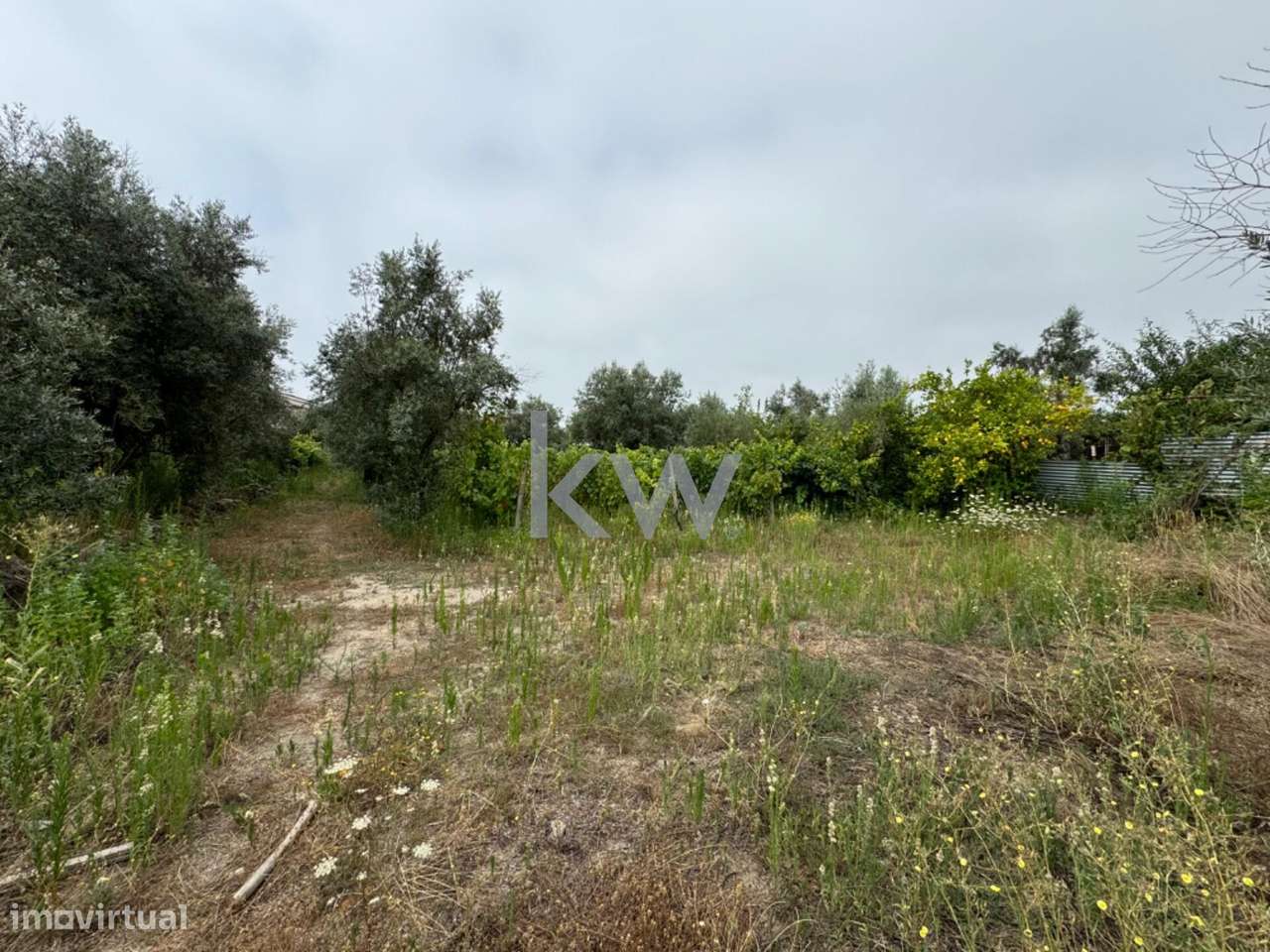 Terreno rústico para venda em Casal Jusão, Silgueiros  com 1055m2 - Grande imagem: 5/9