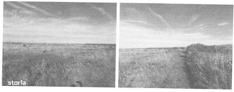 Teren extravilan comuna Valea Calugareasca, Prahova - 3004320-1