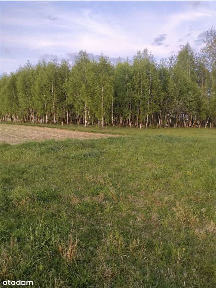 Atrakcyjne Działki Rafałówka - Pełny obrazek: 4/7
