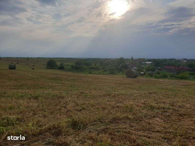 Teren Dudestii Noi - 642 mp - Imagine principală: 5/7