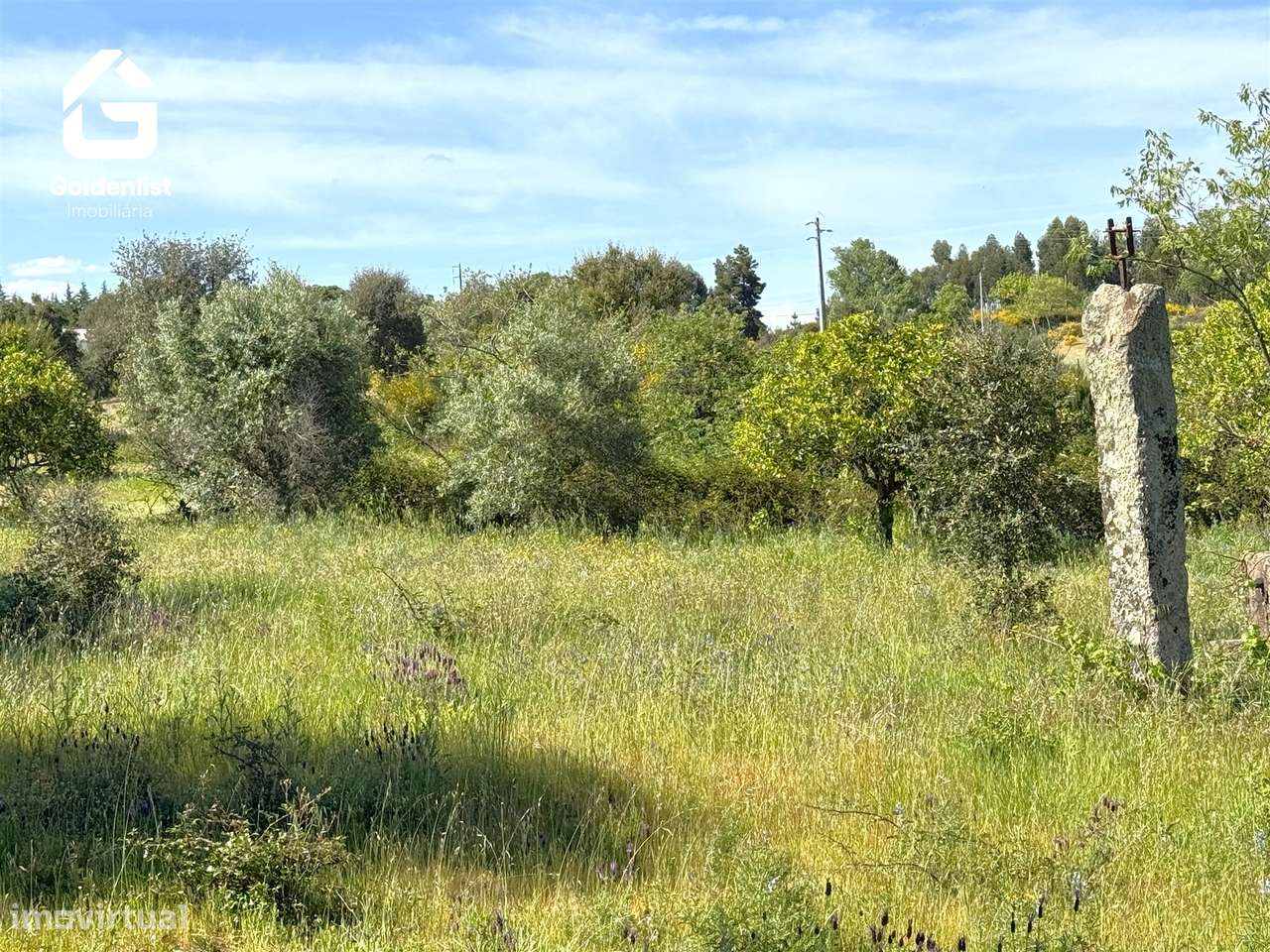 Quintinha  Venda em Escalos de Cima e Lousa,Castelo Branco-27
