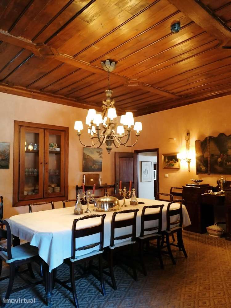 Solar do sec. XVII em Mesquitela, Mangualde-19