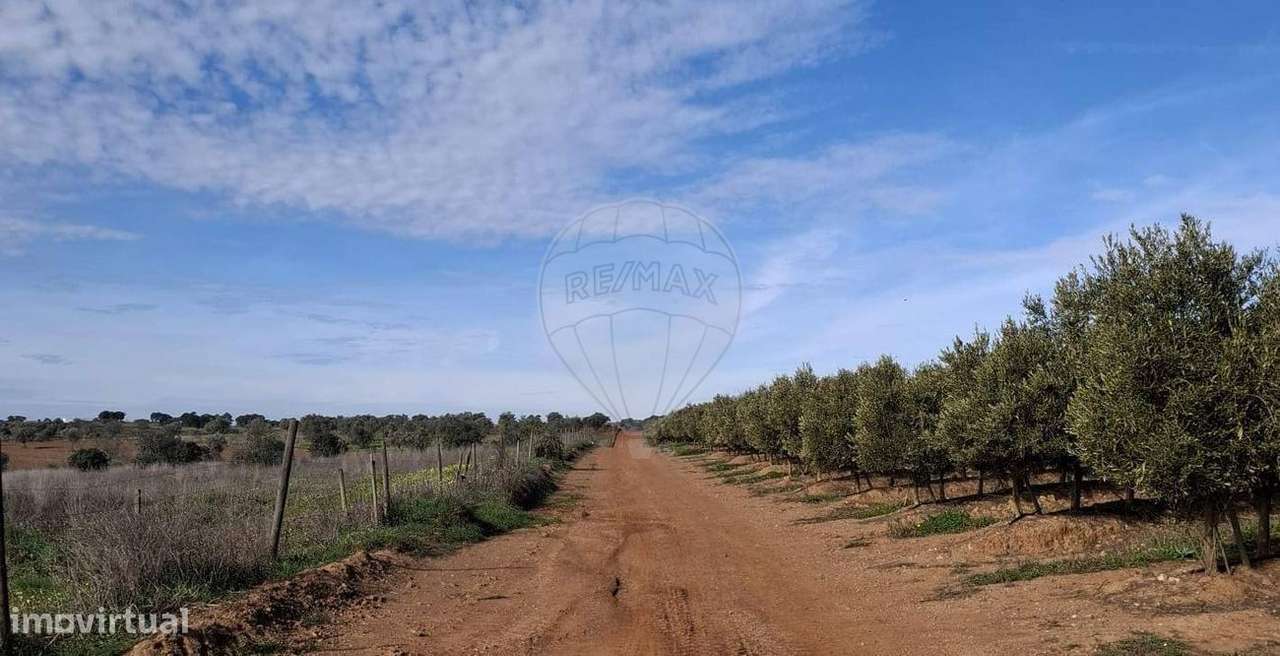 Quinta  para venda - Grande imagem: 2/9