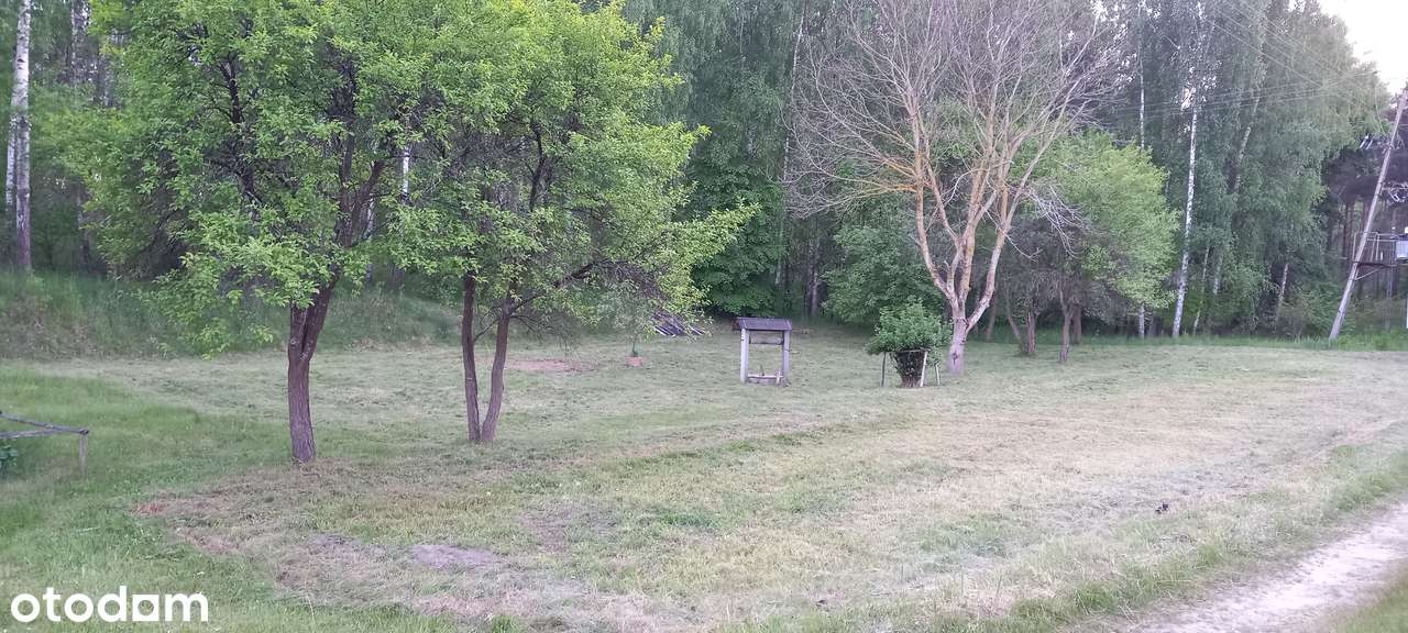 SPRZEDAM piękną działkę budowlaną i siedlisko w otoczeniu lasu
