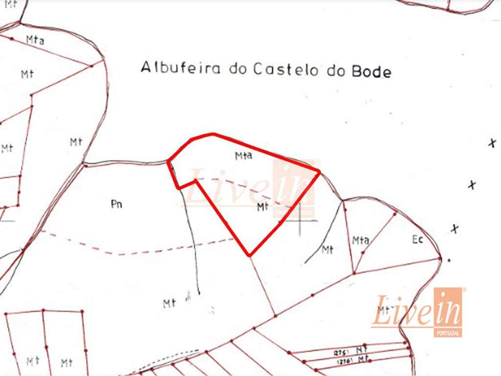 Terreno Rústico com 4080 m² em Tomar - Grande imagem: 4/4