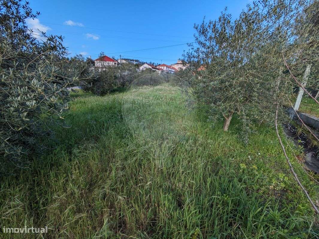 Terreno  para venda - Grande imagem: 4/16