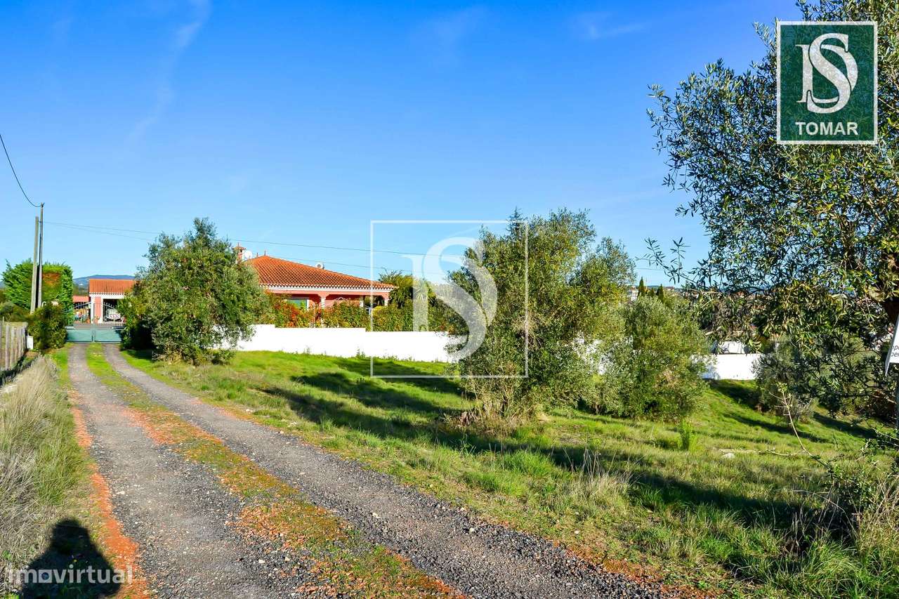 Terreno  Venda em Tomar (São João Baptista) e Santa Maria dos Olivais,-18