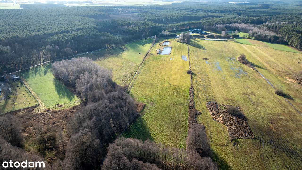 Działki pod rekreację Wieleń , gmina Przemęt - Pełny obrazek: 4/14