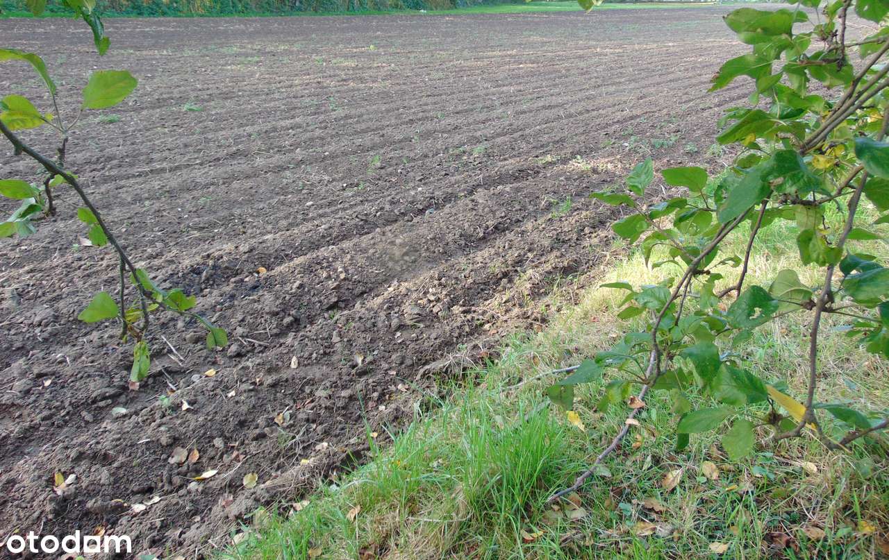 Działka rolno-budowlana w Zielonej Górze pod budowę domów.-1