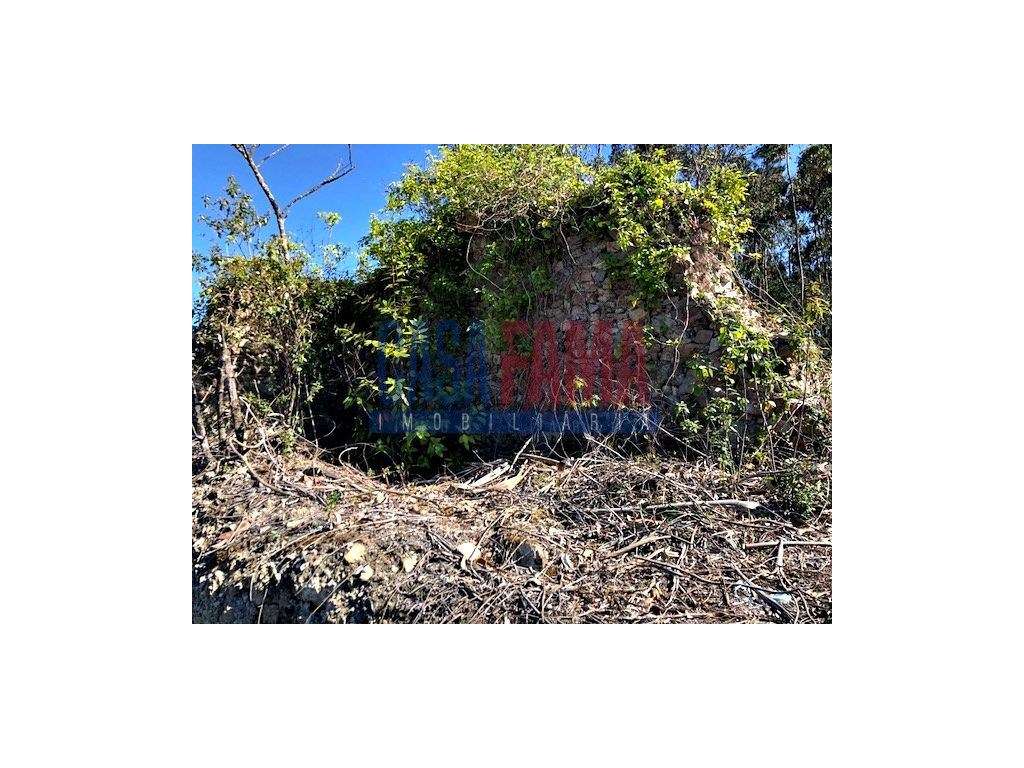 Excelente investimento com rentabilidade! - Grande imagem: 2/5