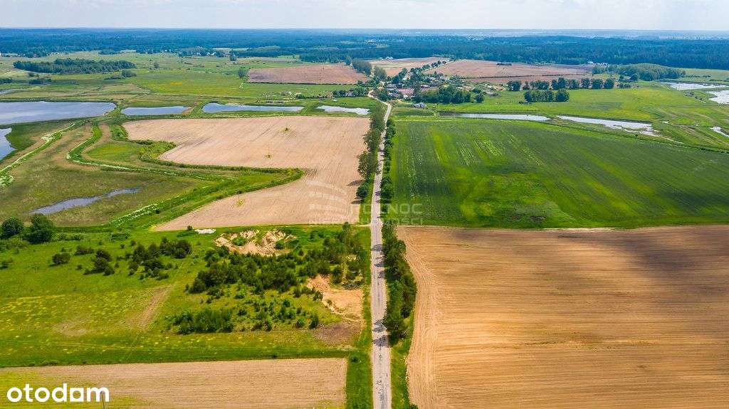 Działka rolna 2.6 h. Waliły. - Pełny obrazek: 4/8